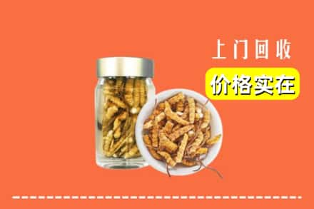 邯郸市复兴回收散虫草