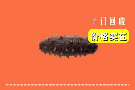 邯郸市复兴回收海参