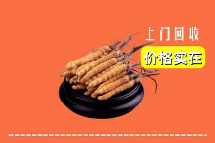 邯郸市复兴回收冬虫夏草